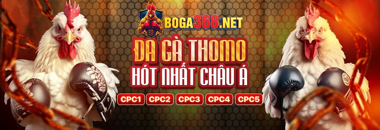 Đa dạng các môn thể thao cá cược tại VV88 Nổ Hũ