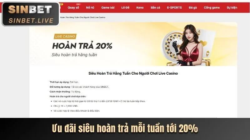 Lịch sử phát triển của VV88